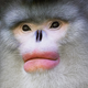 Image: Tim Flach